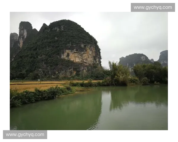 《探索Dota2极限操作技巧与战略突破:从微操到宏观布局》 《探索Dota2极限操作技巧与战略突破:从微操到宏观布局》